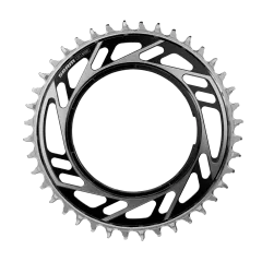 SRAM Chainring Thread Mount Singlespeed 42T