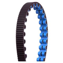 GATES CDX Carbon Drive Belt 118T Black/blue Pitch: 11 mm, Width: 12 mm, '1/1