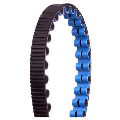 GATES CDX Carbon Drive Belt 125T Black/blue Pitch: 11 mm, Width: 12 mm, '1/1