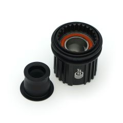 DT SWISS Shimano Ratchet EXP, Material: Steel, Standard version, Kit