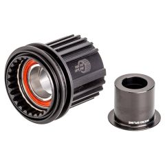 DT SWISS Freehub body Shimano Micro spline (SS12) Ratchet, Material: Steel, Standard version, Kit