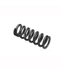 ROCKSHOX Spring Spring 174 x 67,5-75 mm 600 lb